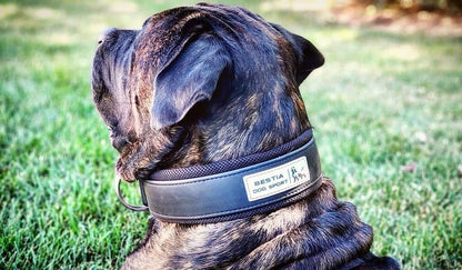 Dog Sport Collar. Ultra Heavy Duty. Stainless Steel. Waterproof. Padded