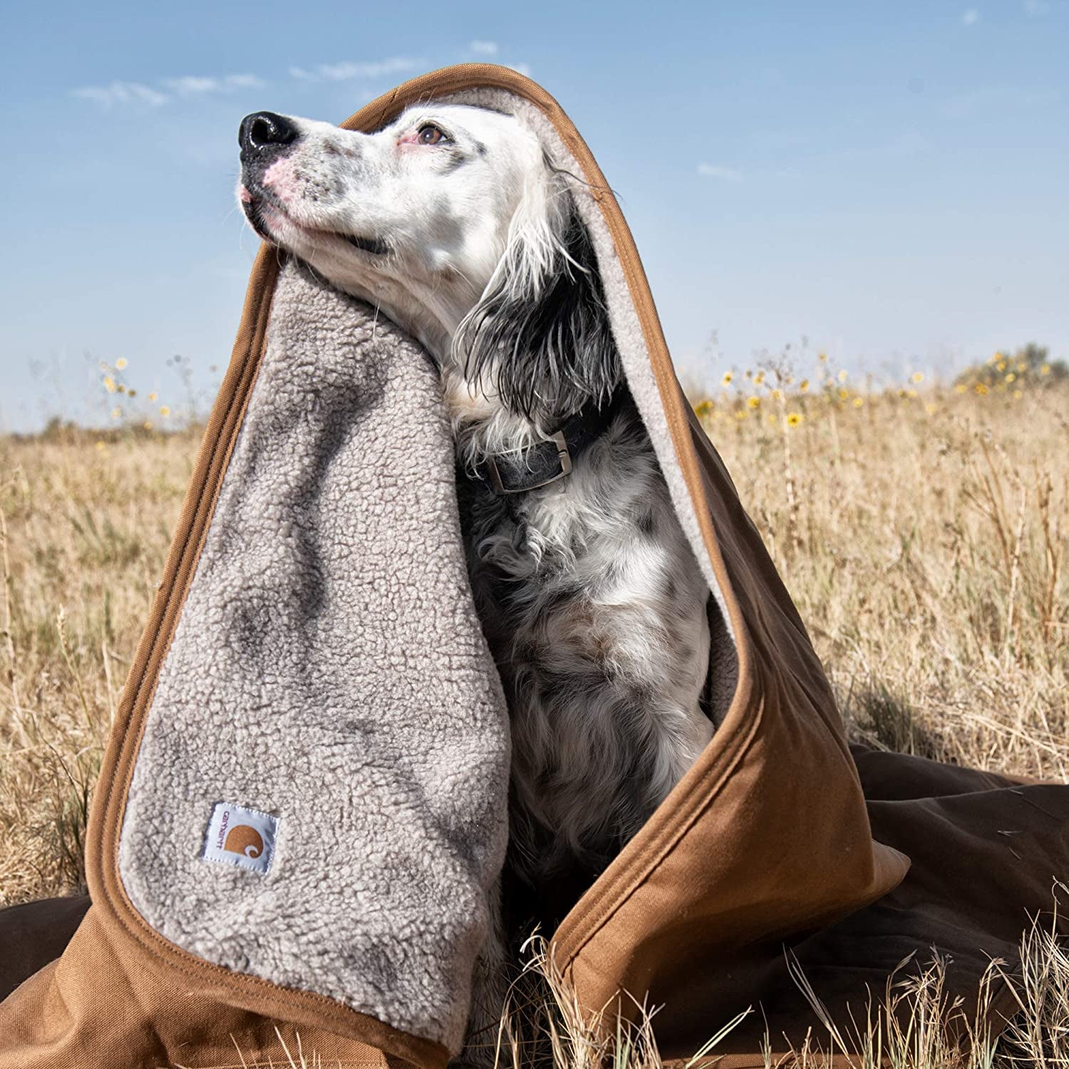 Firm Duck Sherpa-Lined Throw Blanket, Reversible Pet Blanket with Water Repellent Coating,  Brown