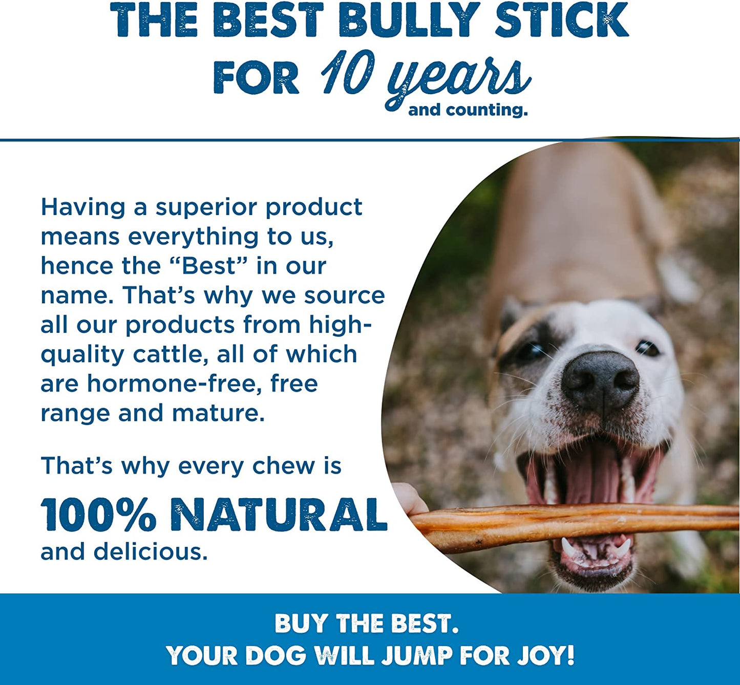 6 Inch Jumbo Bully Sticks for Large Dogs - 100% Natural, Grass-Fed Beef - Single Ingredient Grain and Rawhide Free Bully Stick Dog Chews | 4 Pack